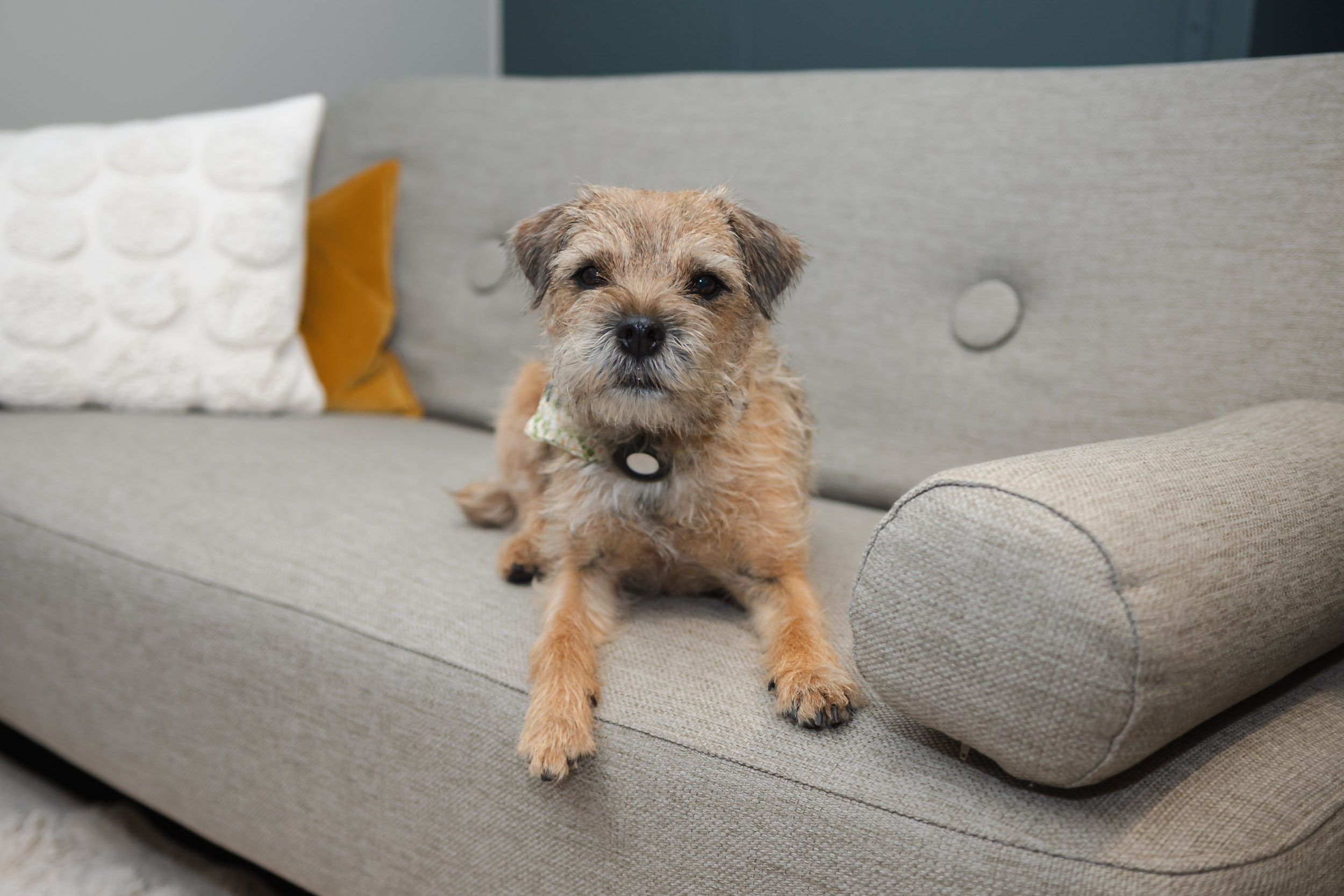 kontor-attiva-webb-46